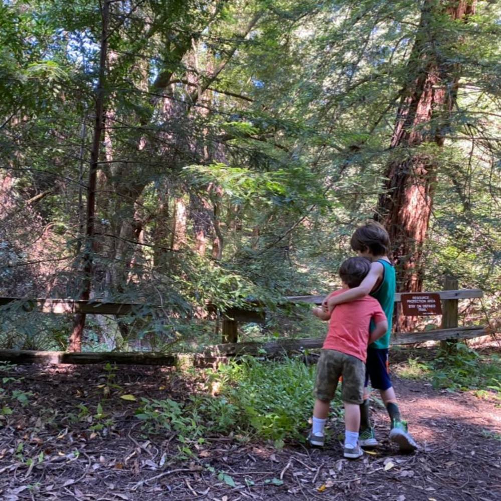 Meet your Posher, Debbie